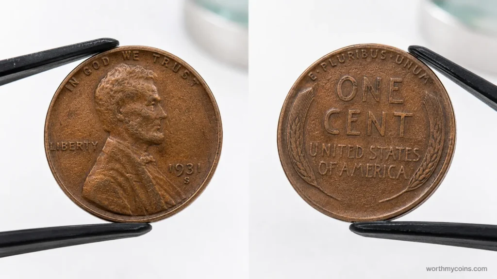 Close-up of a Lincoln Wheat Penny showing both obverse and reverse for error identification