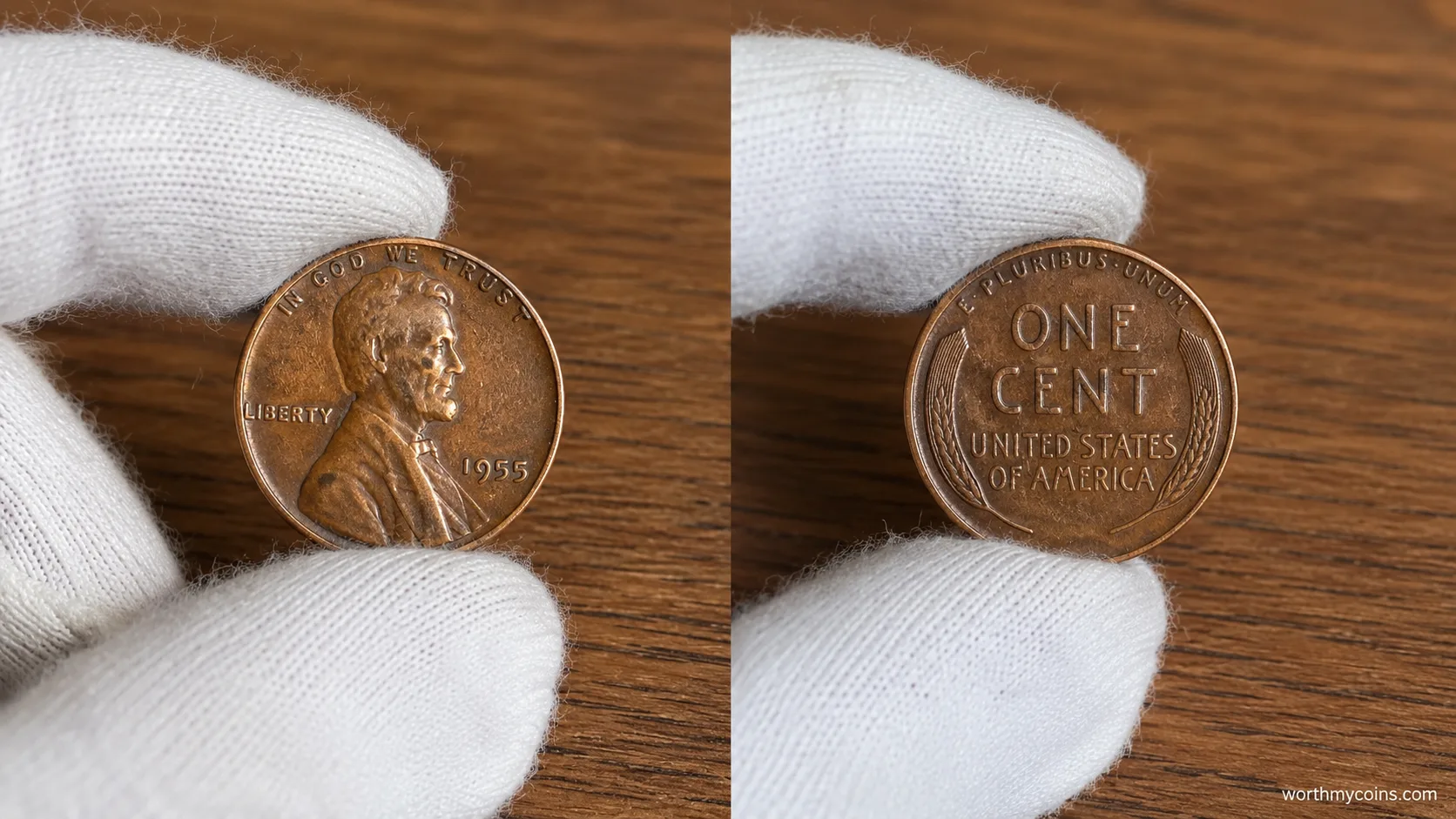 American coins collectors favorites including Lincoln cents, Morgan dollars, Mercury dimes and Buffalo nickels